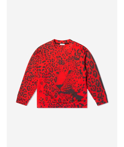 Dolce & Gabbana Boys Cotton Leopard Logo Sweatshirt 2 - 3 jours ouvrés.